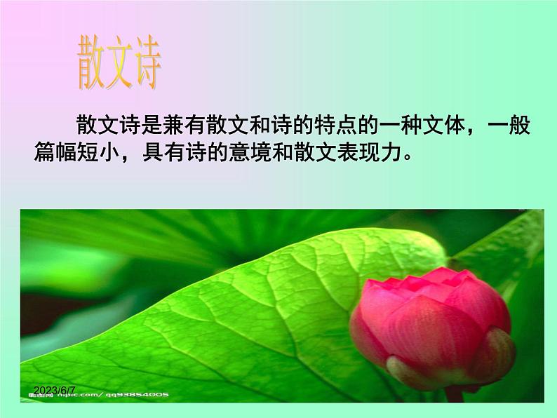 第7课《散文诗两首-荷叶·母亲》PPT课件4-七年级语文上册统编版第6页