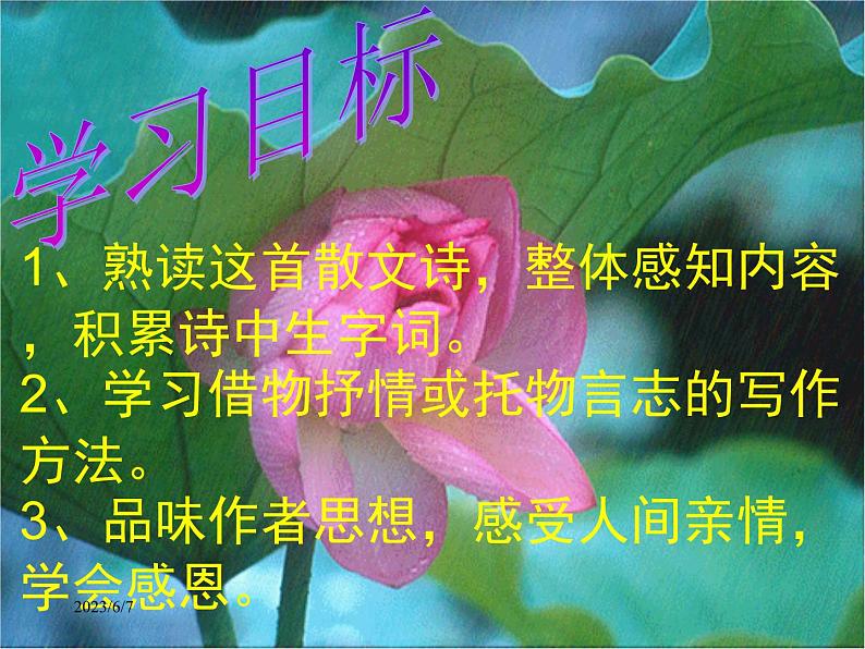 第7课《散文诗两首-荷叶·母亲》PPT课件4-七年级语文上册统编版第7页