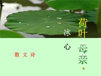 人教部编版七年级上册荷叶母亲教案配套ppt课件