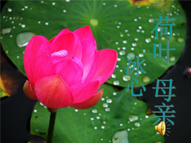 第7课《散文诗两首-荷叶·母亲》PPT课件2-七年级语文上册统编版第1页
