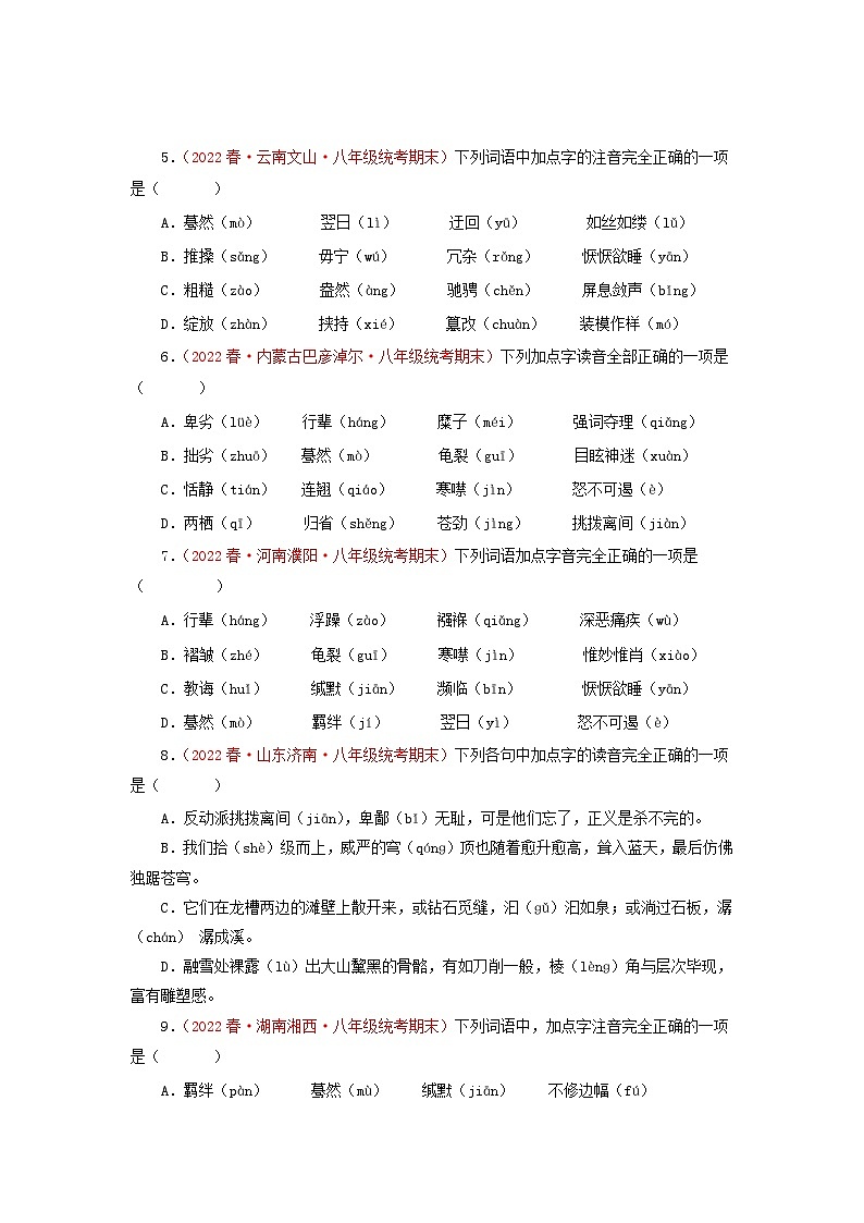 专题01 字音字形－2022-2023学年八年级语文下册期末专项复习02
