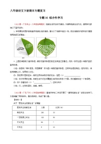 专题06：综合性学习（原卷+答案）八年级语文下学期期末备考专题复习