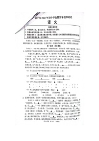 2023年江苏省宿迁市宿豫区十校中考三模语文试题（含答案）