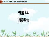 【期末专题复习】部编版语文2022-2023学年八年级下册期末：专题14  诗歌鉴赏（课件）