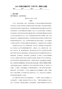 2023年湖北省随州市广水市中考二模语文试题(含答案)