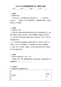 2023年山东省聊城临清市中考三模语文试题(含答案)