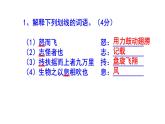 八下语文《北冥有鱼》精选题附答案课件PPT