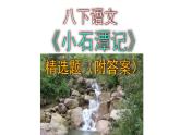 八下语文《小石潭记》精选题（及答案）课件PPT