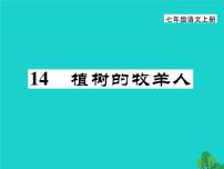 语文七年级上册植树的牧羊人多媒体教学ppt课件
