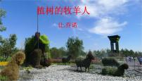 初中人教部编版植树的牧羊人课文课件ppt