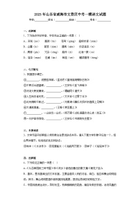 2023年山东省威海市文登区中考一模语文试题(含答案)