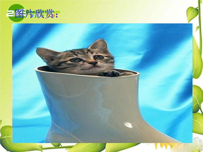 第17课《猫》PPT课件4-七年级语文上册统编版03