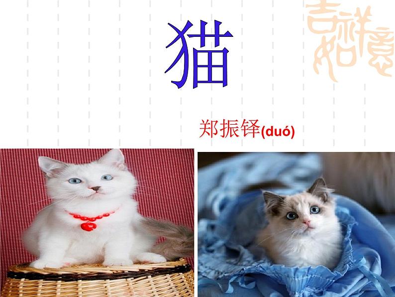 第17课《猫》PPT课件7-七年级语文上册统编版07