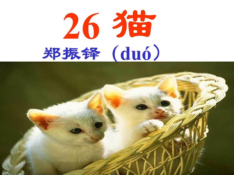 第17课《猫》PPT课件5-七年级语文上册统编版07