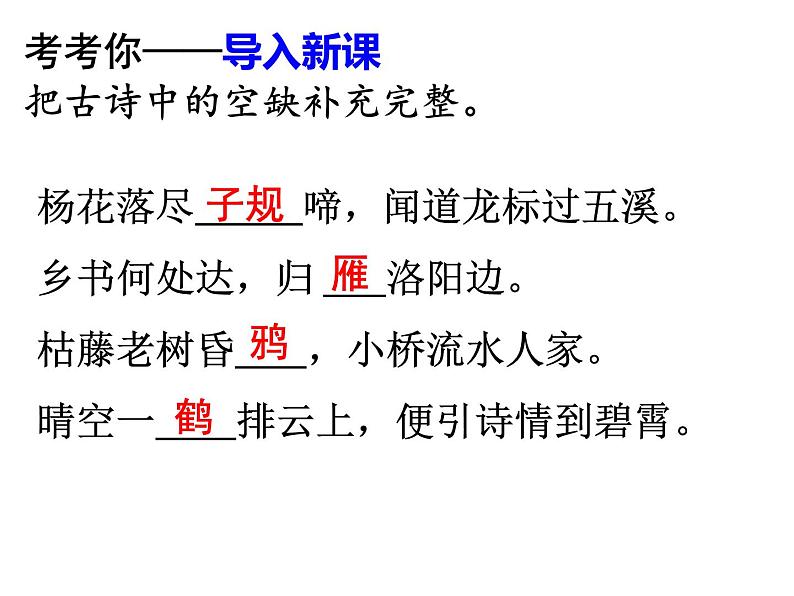 第18课《鸟》PPT课件5-七年级语文上册统编版第1页