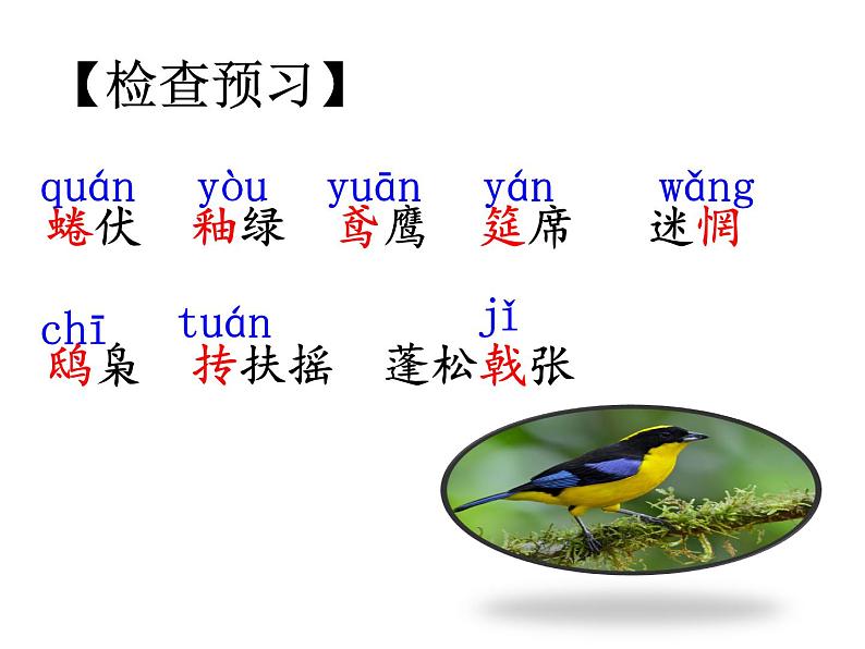 第18课《鸟》PPT课件5-七年级语文上册统编版第5页