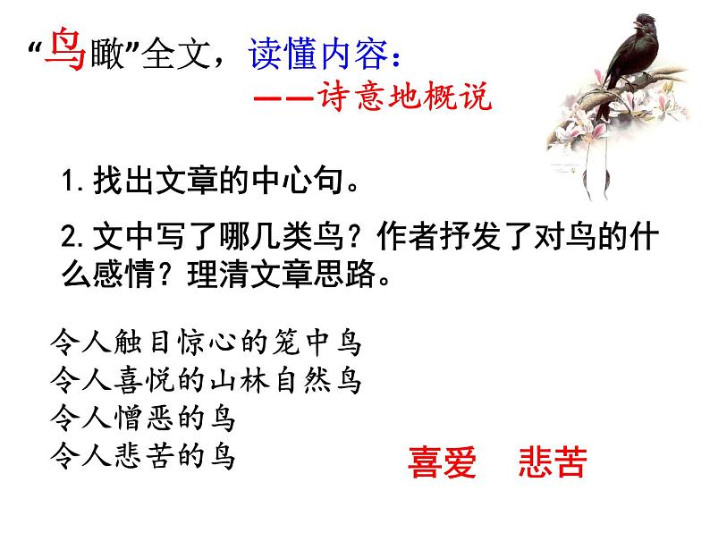 第18课《鸟》PPT课件5-七年级语文上册统编版第6页
