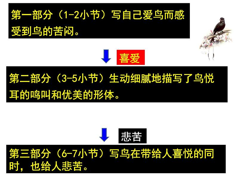 第18课《鸟》PPT课件5-七年级语文上册统编版第7页