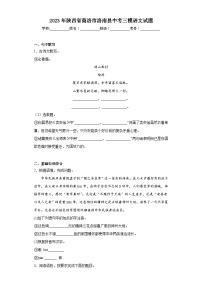 2023年陕西省商洛市洛南县中考三模语文试题(含答案)