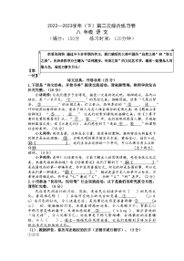 福建省南平市光泽县2022-2023学年八年级下学期第二次综合练习语文试题（含答案）