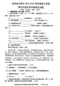 2023年陕西省西安市陕西师范范大学附属中学中考五模语文试题