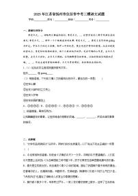 2023年江苏省扬州市仪征市中考三模语文试题（含解析）