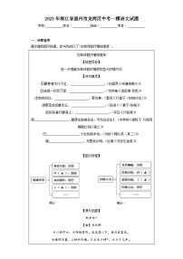 2023年浙江省温州市龙湾区中考一模语文试题（含解析）
