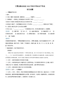 2022年宁夏中考语文真题（解析版）