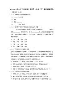 辽宁省大连市金州区2022-2023学年七年级下学期期中语文试题