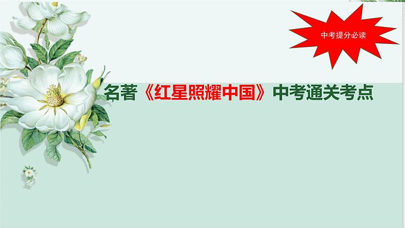红星照耀中国中考通关考点课件PPT01