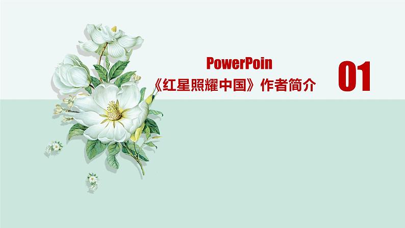 红星照耀中国中考通关考点课件PPT03