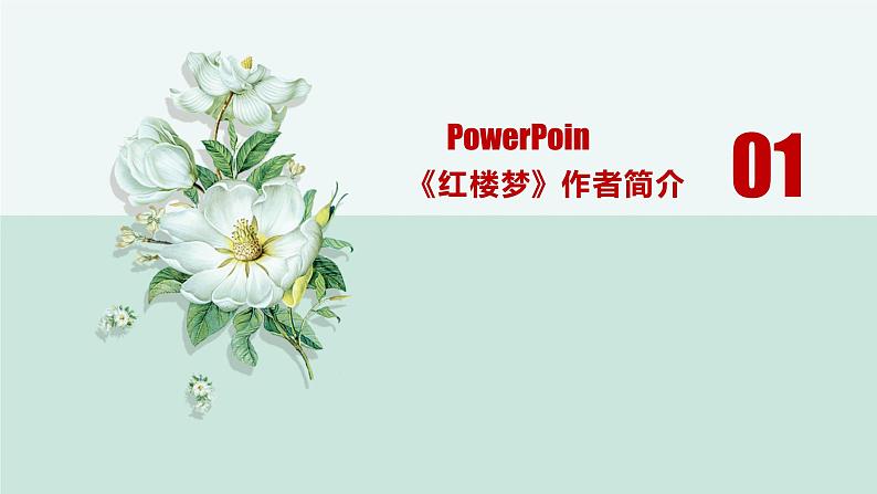 名著红楼梦高考通关考点课件PPT03