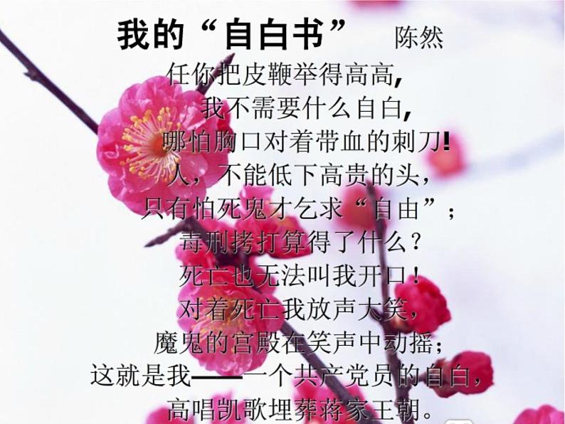 中考复习：名著导读《红岩》练习课件第8页