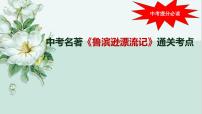 中考名著《鲁滨逊漂流记》通关考点课件PPT