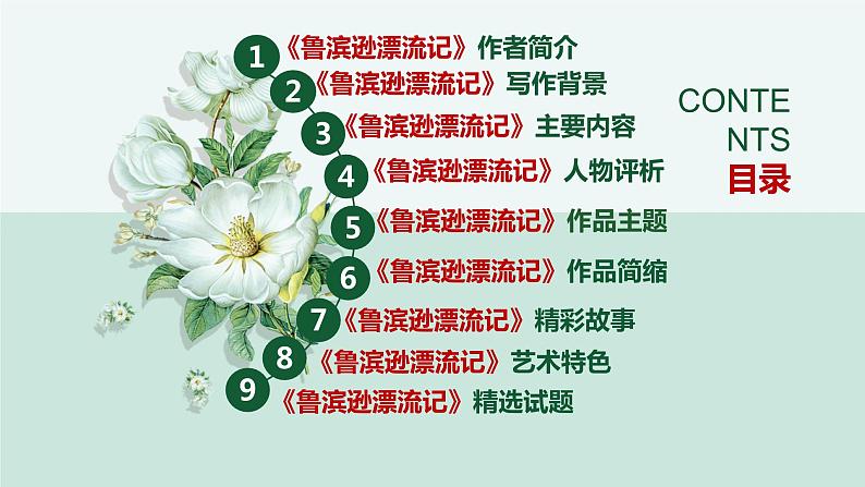 中考名著《鲁滨逊漂流记》通关考点课件PPT第2页