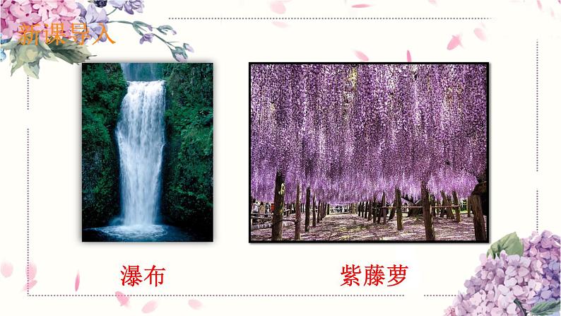 18.紫藤萝瀑布课件PPT第5页