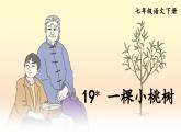 19.一棵小桃树课件PPT