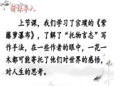 19.一棵小桃树课件PPT