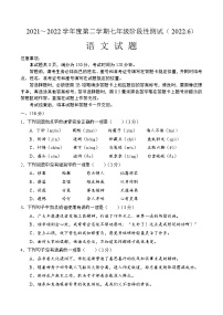 山东省济南市槐荫区2021-2022学年七年级下学期期末考试语文试题及答案