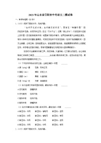 2023年山东省日照市中考二模语文试卷(含答案)