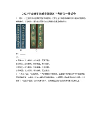 2023年山西省运城市盐湖区中考语文一模试卷(含答案)