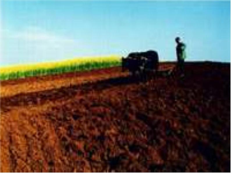 第7课《土地的誓言》PPT课件10-七年级语文下册统编版第8页