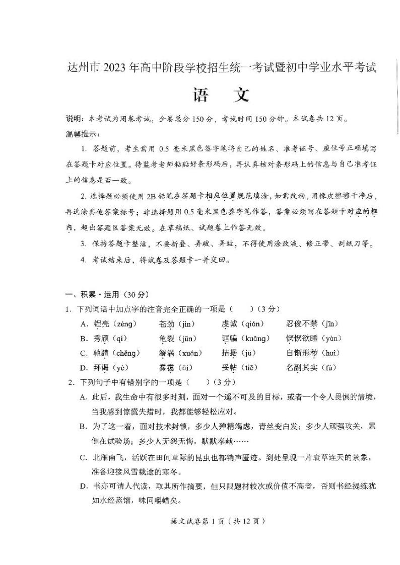 2023年四川省达州市中考语文真题01