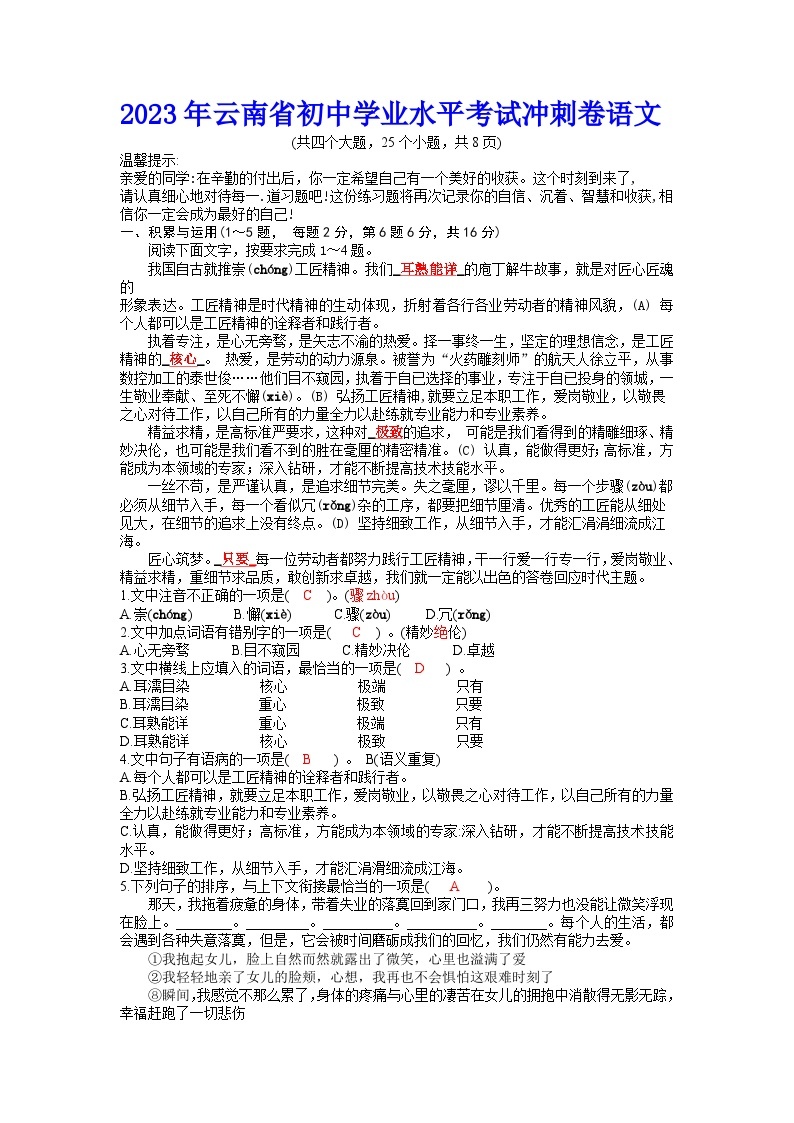 2023年云南省初中学业水平考试冲刺语文卷01