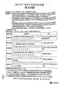 2023年广东省佛山市顺德区中考三模语文试题