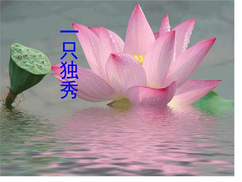 七下17、爱莲说同步课件02