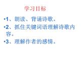 七下古代诗歌五首登幽州台歌同步课件