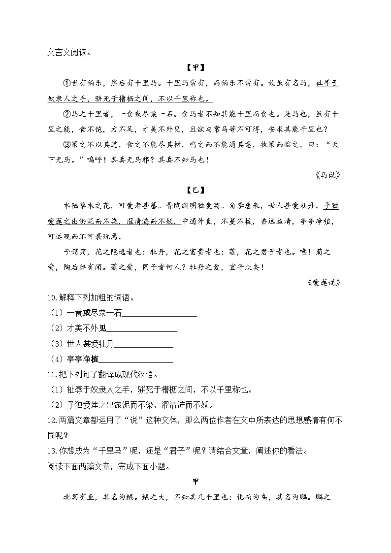 人教部编版语文八年级下学期期末古诗文专练（9）《马说》第3页