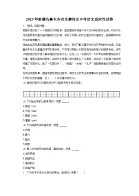 2023年新疆乌鲁木齐市水磨沟区中考适应性语文试卷(含答案)