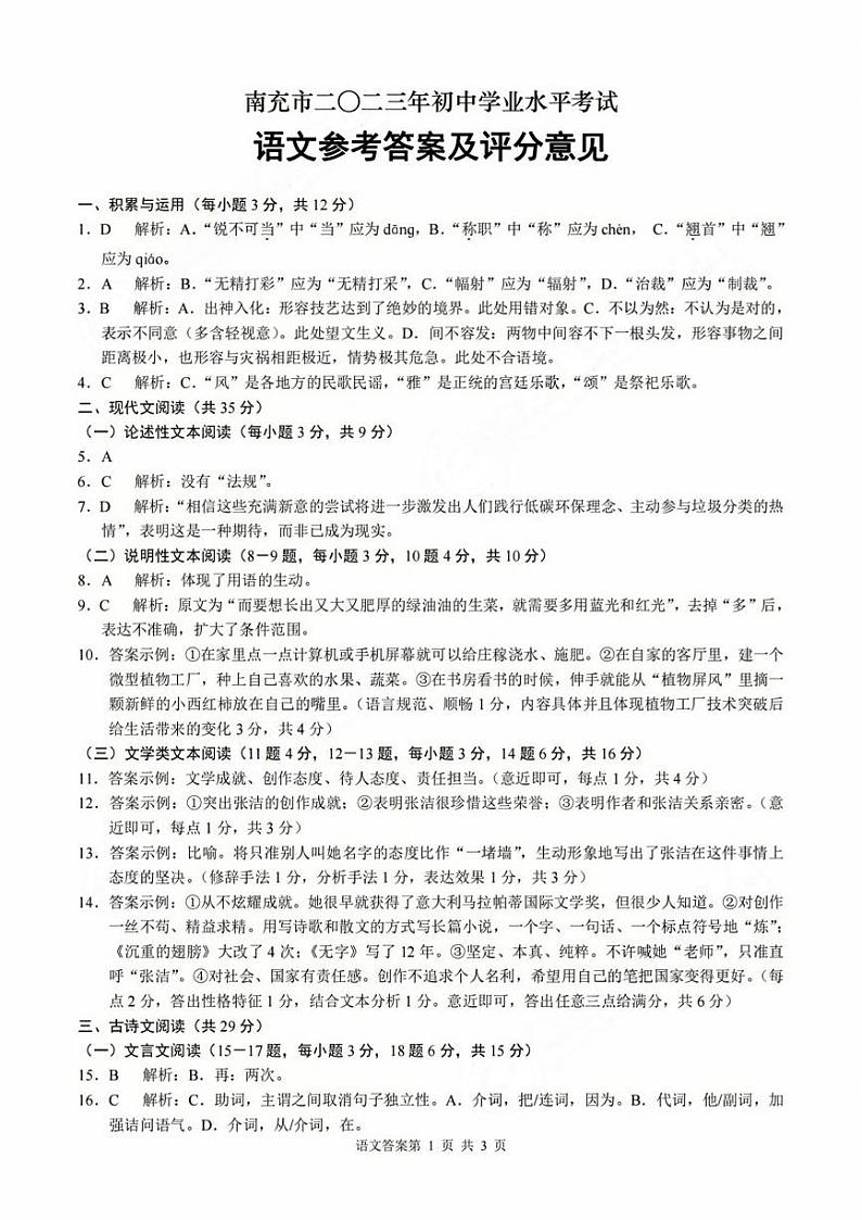 2023年四川省南充市中考语文真题01